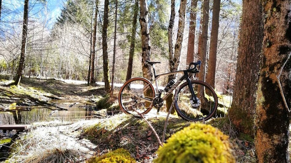 © TV Erzberg Leoben | Fam. Havlena