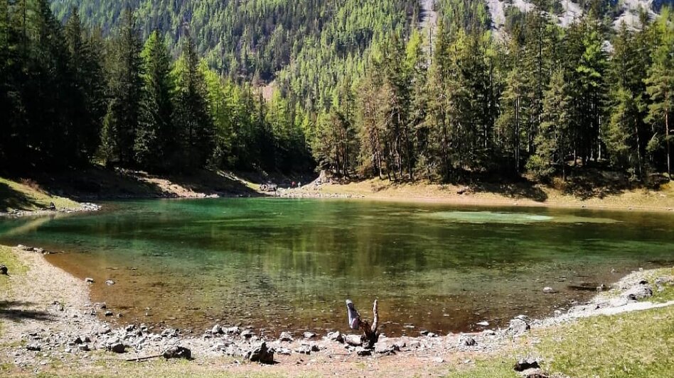 © TV Erzberg Leoben | Fam. Havlena