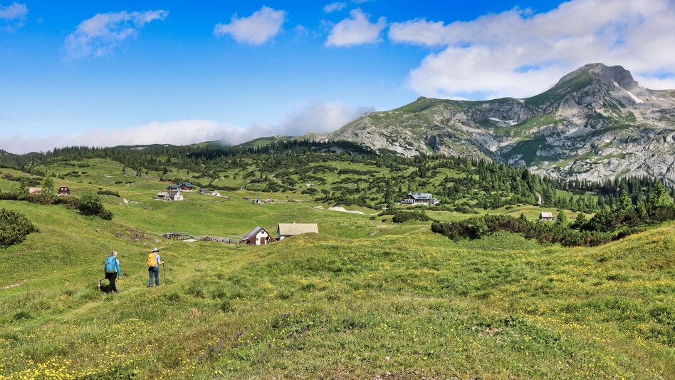 © TV Erzberg Leoben | WEGES OG