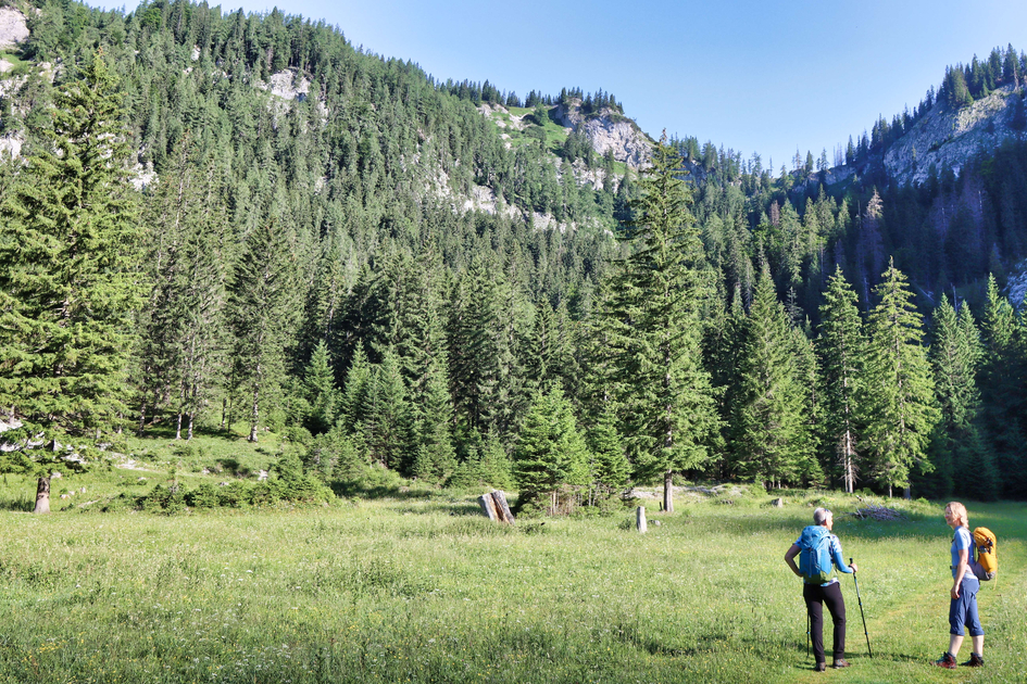 © TV Erzberg Leoben | WEGES OG