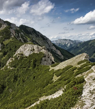 © Erzberg Leoben | Weges