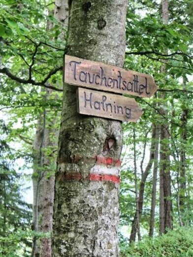 © Erzberg Leoben | Weges