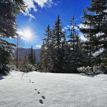 © TV Erzberg Leoben | M. Schaffer