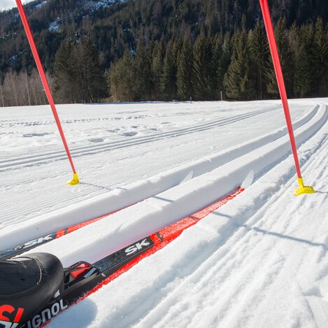 © TV Erzberg Leoben | E. Rossböck