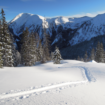 © TV Erzberg Leoben | L. Gottsbacher