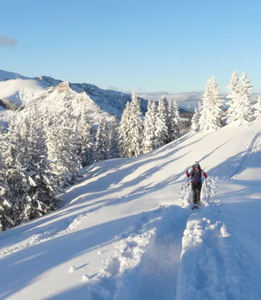 © TV Erzberg Leoben | WEGES OG