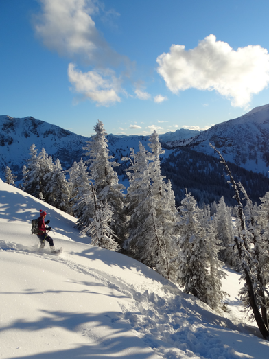 © TV Erzberg Leoben | WEGES OG