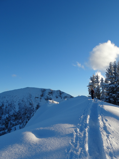 © TV Erzberg Leoben | WEGES OG