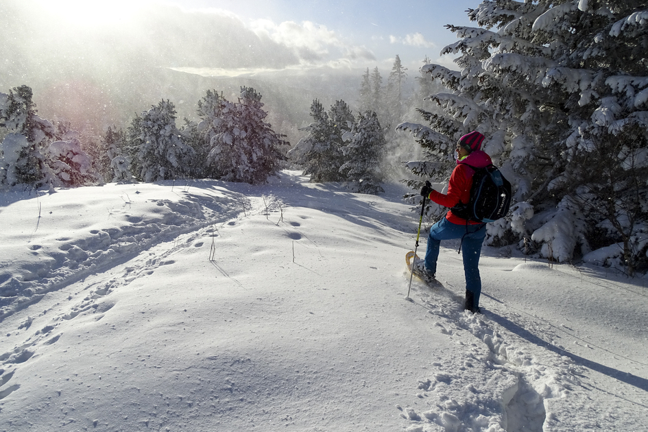 Schneeschuhwandern am Steinplan (nahe Kleinlobming) | © Erzberg Leoben | WEGES OG