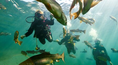 Fischbegegnung im Grüblsee | © Erzberg Leoben | Susanne Einzenberger