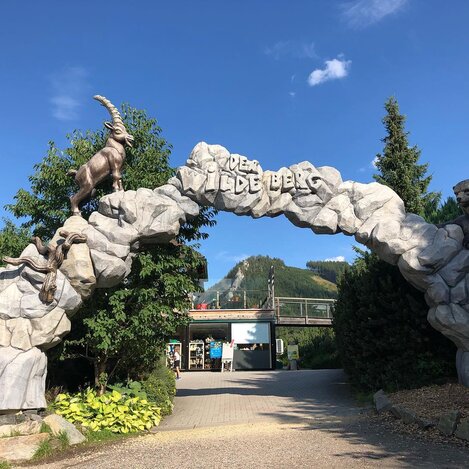 Der Wilde Berg in Mautern | © TV Erzberg Leoben | niederösterreich_mit_kindern IG