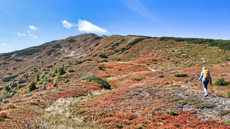 Kalwang - Impression #2.10 | © WEGES OG