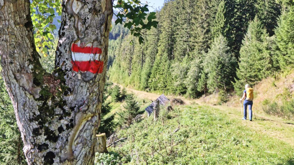 Kalwang - Impression #2.9 | © WEGES OG