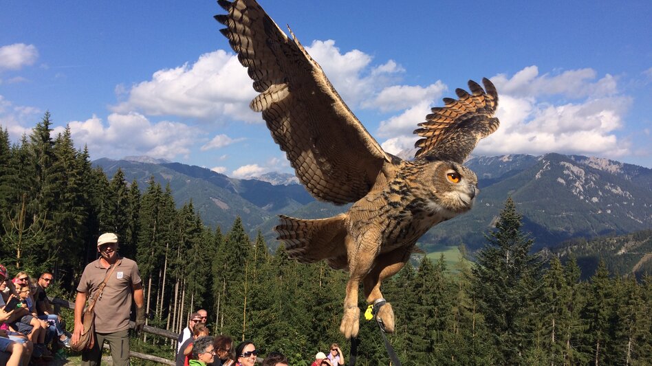 © TV ERZERG LEOBEN | K. Wassler