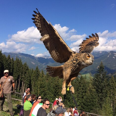 Der Wilde Berg Mautern | © TV ERZERG LEOBEN | K. Wassler