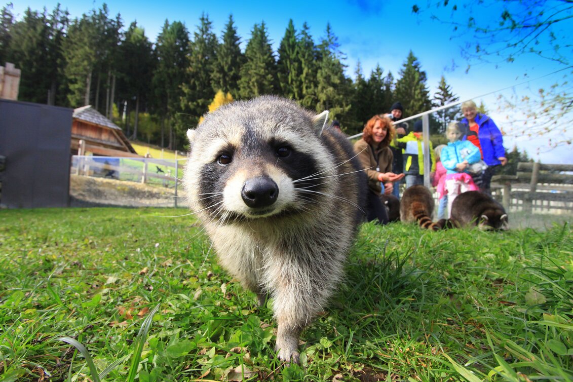 Mautern in Steiermark - Impression #1