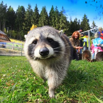 © Erzberg Leoben | Katharina Wassler