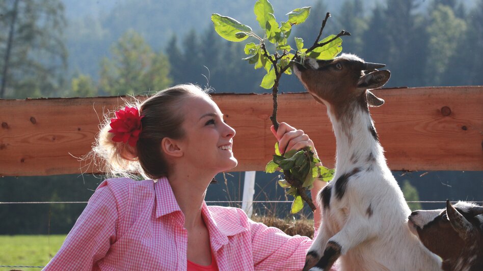 Mautern in Steiermark - Impression #2.10