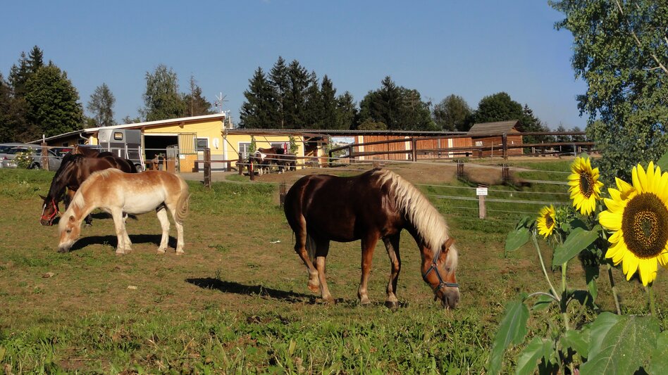 Proleb - Impression #2.7