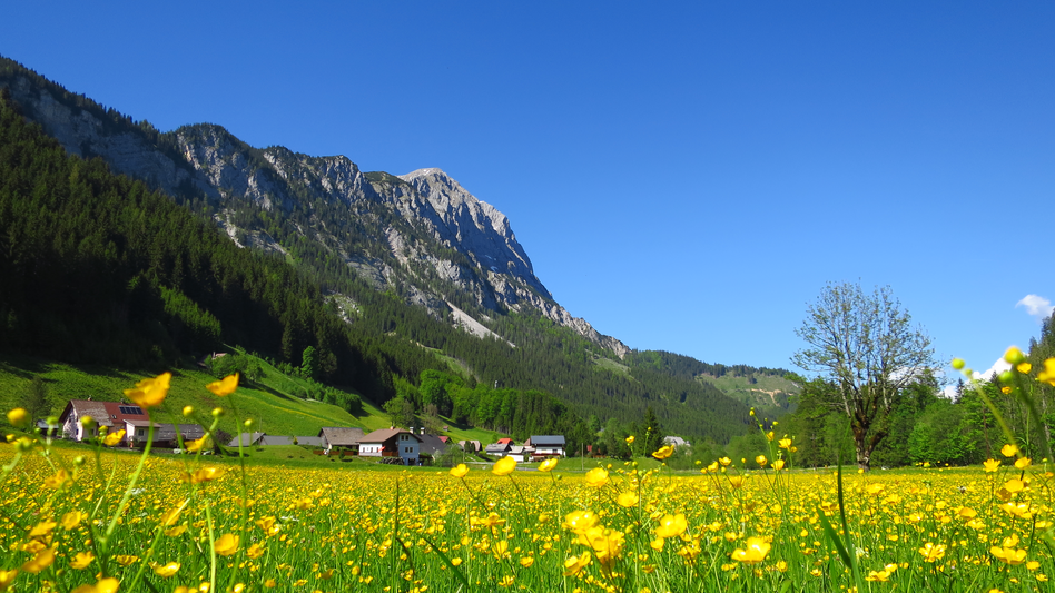 Radmer - Impression #2.1