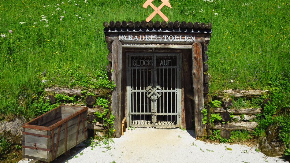 © TV Erzberg Leoben | L. Gottsbacher