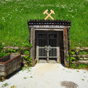 © TV Erzberg Leoben | L. Gottsbacher