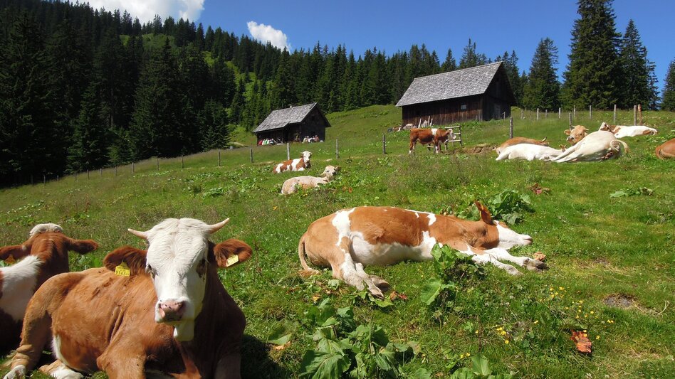 Radmer - Impression #2.7