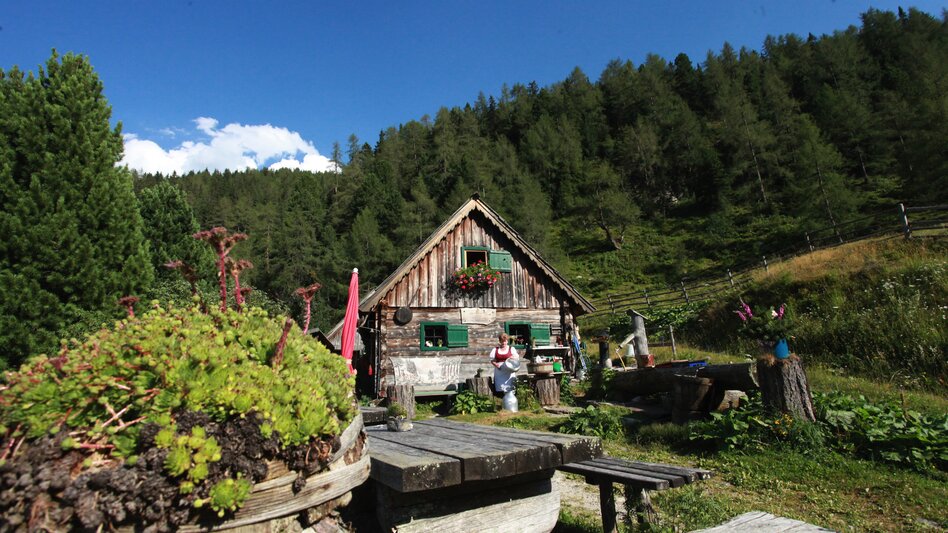 Wald am Schoberpass - Impression #2.10