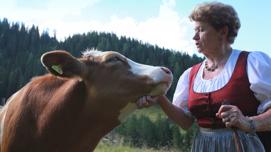 Wald am Schoberpass - Impression #2.3