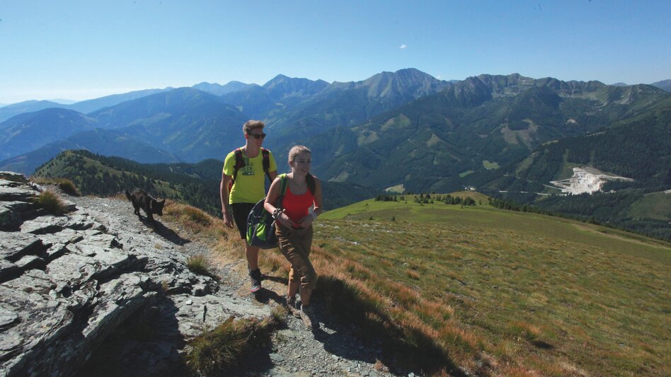 Wald am Schoberpass - Impression #2.6