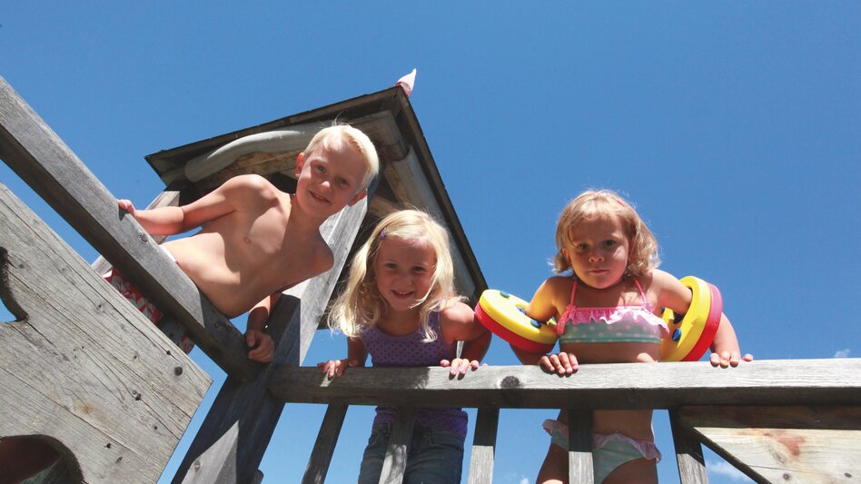 Wald am Schoberpass - Impression #2.8