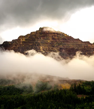 © August Zoebl | August Zoebl