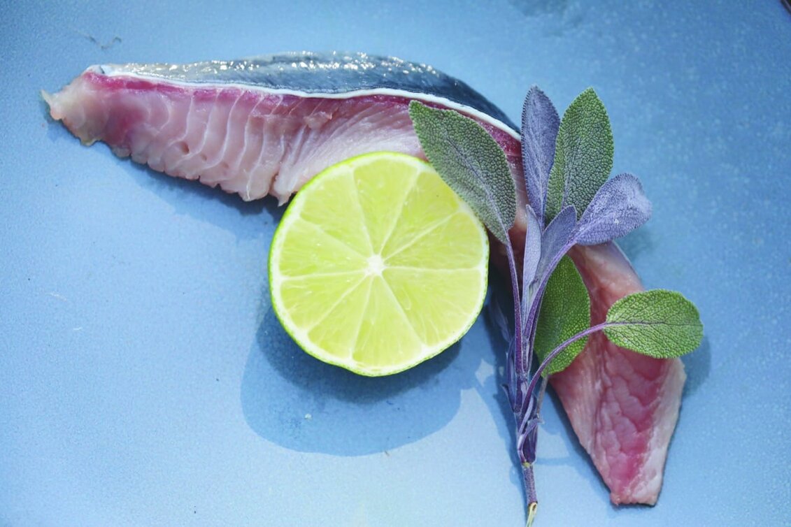 Wels von Martin Temmel | © Martin Temmel | Katharina Wassler