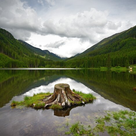 Landscape-Murtal-Steiermark | Use only in connection with the Tourism Association Murtal/ the Adventure Region Murtal.