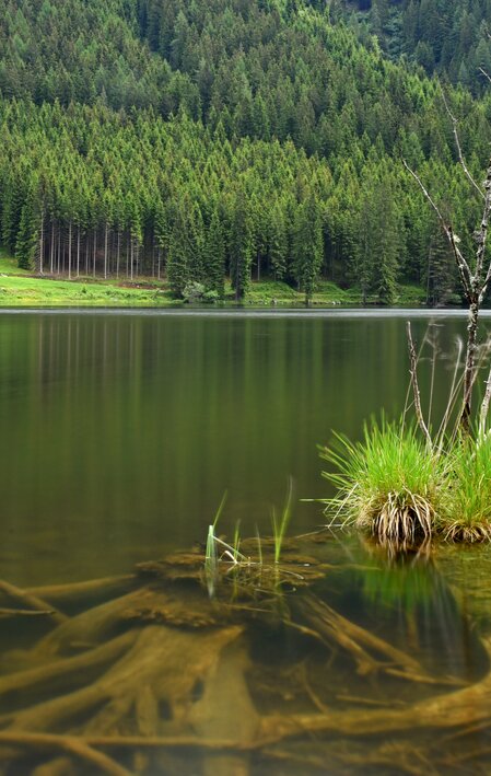 Landscape-Murtal-Steiermark | © Peter Eberhard | TV Murtal | Use only in connection with the Tourism Association Murtal/ the Adventure Region Murtal.