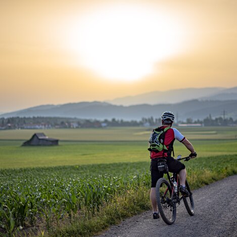 Murradweg-Murtal-Steiermark | © Anita Fössl  | TV Murtal