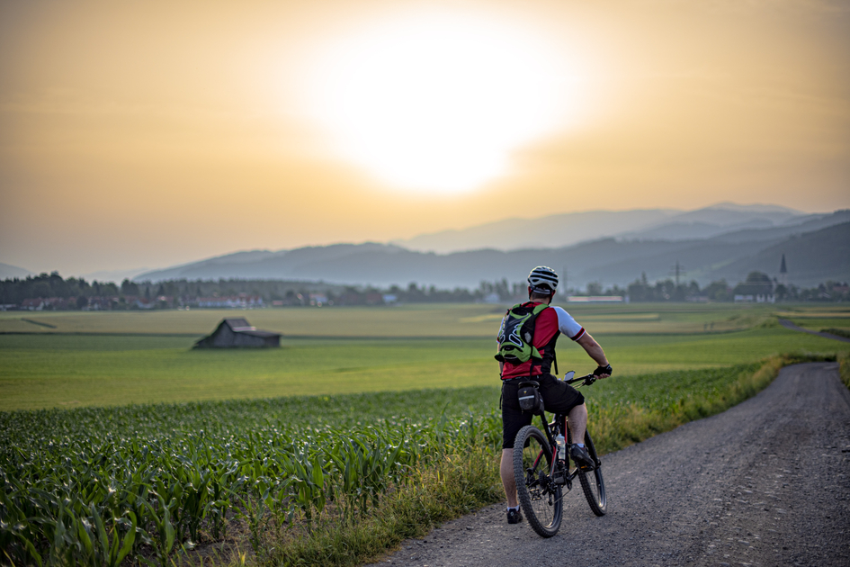 Mur Cycle Path-Murtal-Steiermark | © Anita Fössl  | TV Murtal | Use only in connection with the Murtal Tourist Association/ the Murtal Adventure Region and Mur Cycle Path.