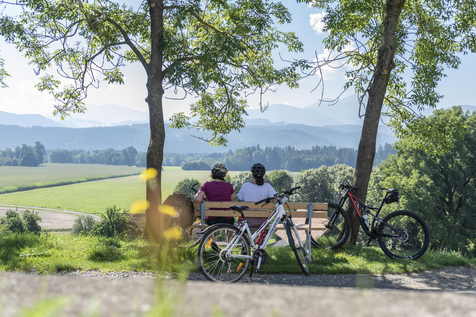 Mur Cycle Path-Murtal-Steiermark | © Anita Fössl  | TV Murtal | Use only in connection with the Murtal Tourist Association/ the Murtal Adventure Region and Mur Cycle Path.