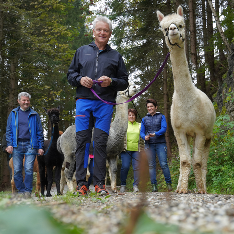 Alpakawandern am Wieserhof | © Wieserhof | Liebminger Heidi