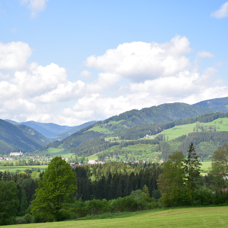 Kühbrein-Aussicht Apfelgarten | © Erlebnisregion Murtal | Erlebnisregion Murtal