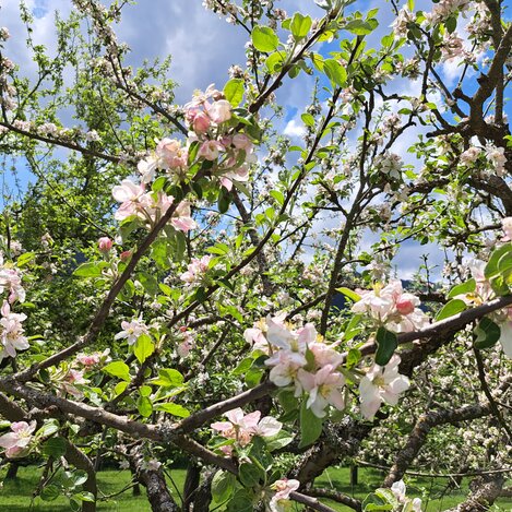 © Erlebnisregion Murtal | Erlebnisregion Murtal