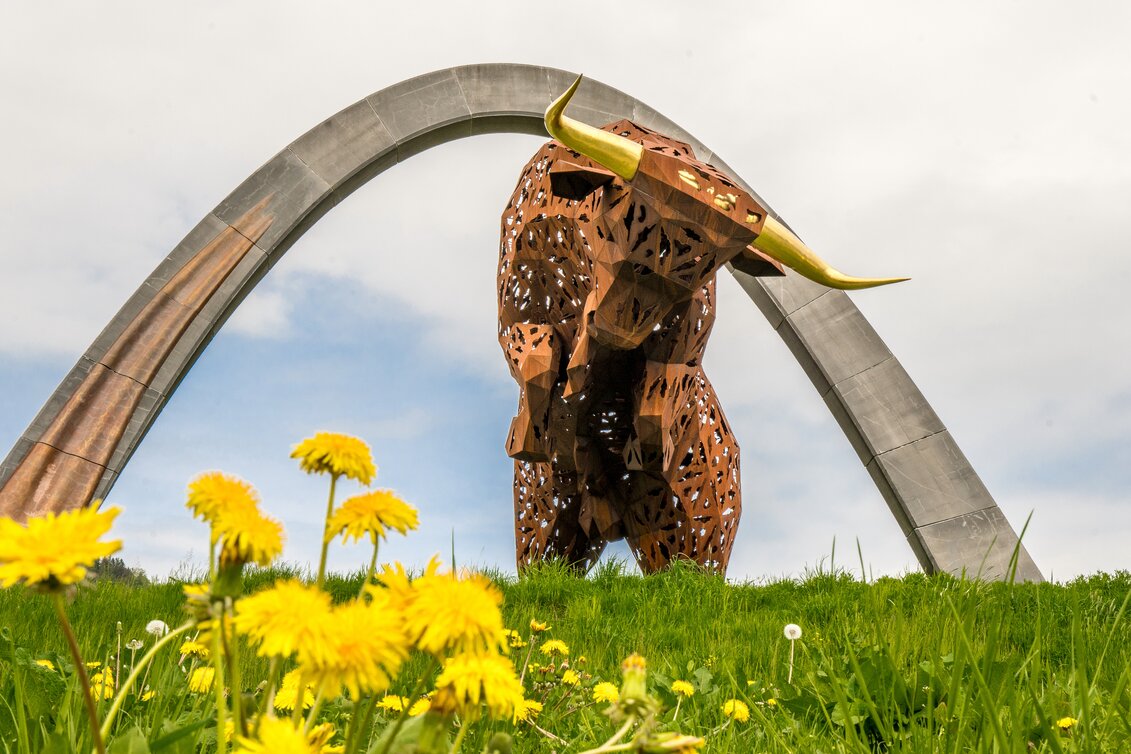 Bulle - Red Bull Ring  | © Erlebnisregion Murtal | HQ Superfoto