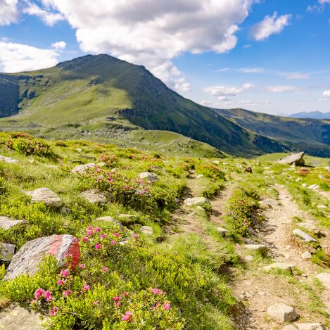 Zirbitzkogel | © Erlebnisregion Murtal | Wolfgang Speckner