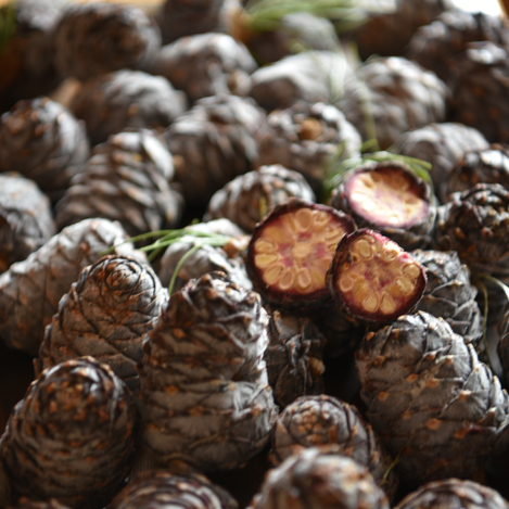 Zirbenzapfen | © Tourismusverband Murtal | Manuela Machner