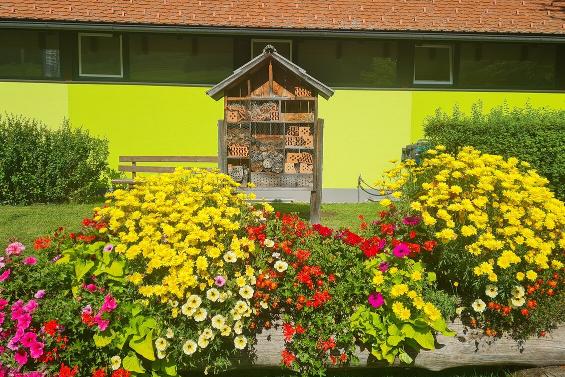 Pusterwald - Die Flora 2023 | © Gemeinde Pusterwald | Gemeinde Pusterwald