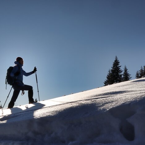 Schneeschuhwandern am Rosenkogel | © Weges OG | WEGES OG