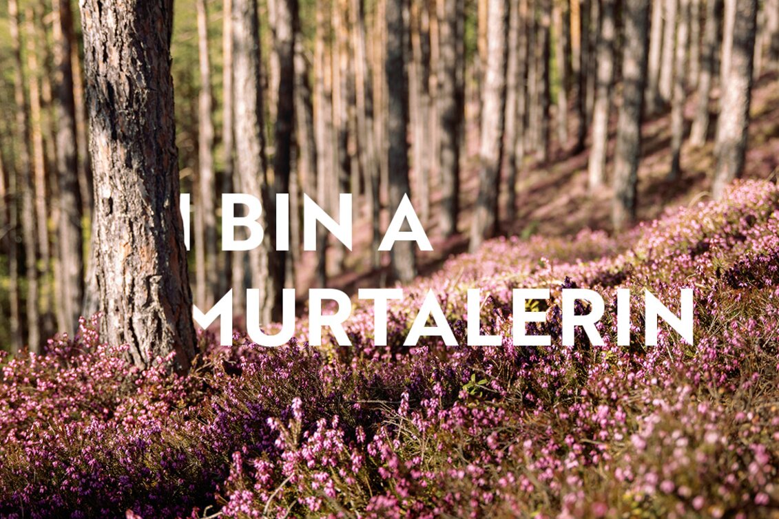 Erika Blüte | © Erlebnisregion Murtal |  Karl Steinegger