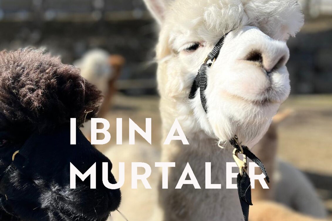 I bin a Murtaler - Taro vom Wieserhof | © Wieserhof | Liebminger Heidi