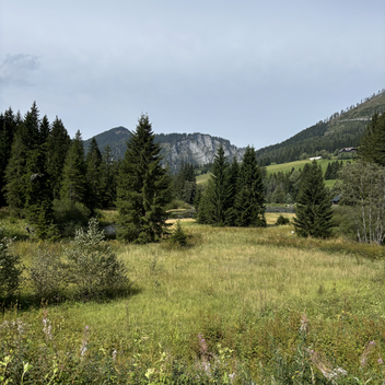 Weberteich - Hohentauern | © Tourismusinformation Erlebnisregion Murtal | Selina Senft