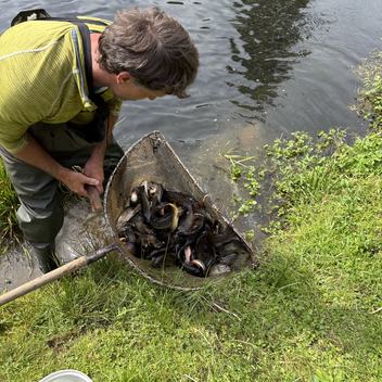 Weberteich - Hohentauern | © Erlebnisregion Murtal | Selina Senft